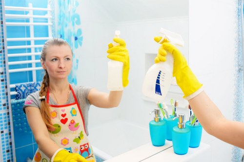 Pet stain odour removal on carpet with cleaning supplies