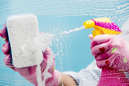 Different carpet cleaning methods and tools arranged for service