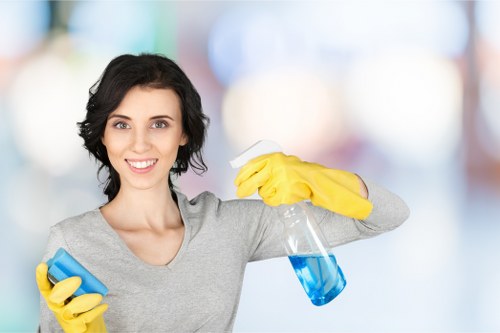 Residential carpet cleaning process in a hallway area