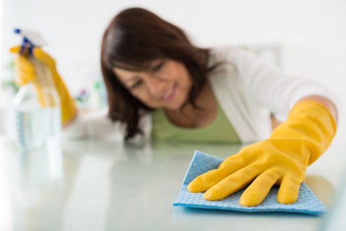 Professional steam carpet cleaning in a home interior